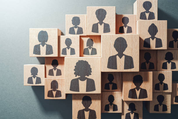 Recrutamento de técnico superior de apoio à gestão para o Departamento de Recursos Humanos
