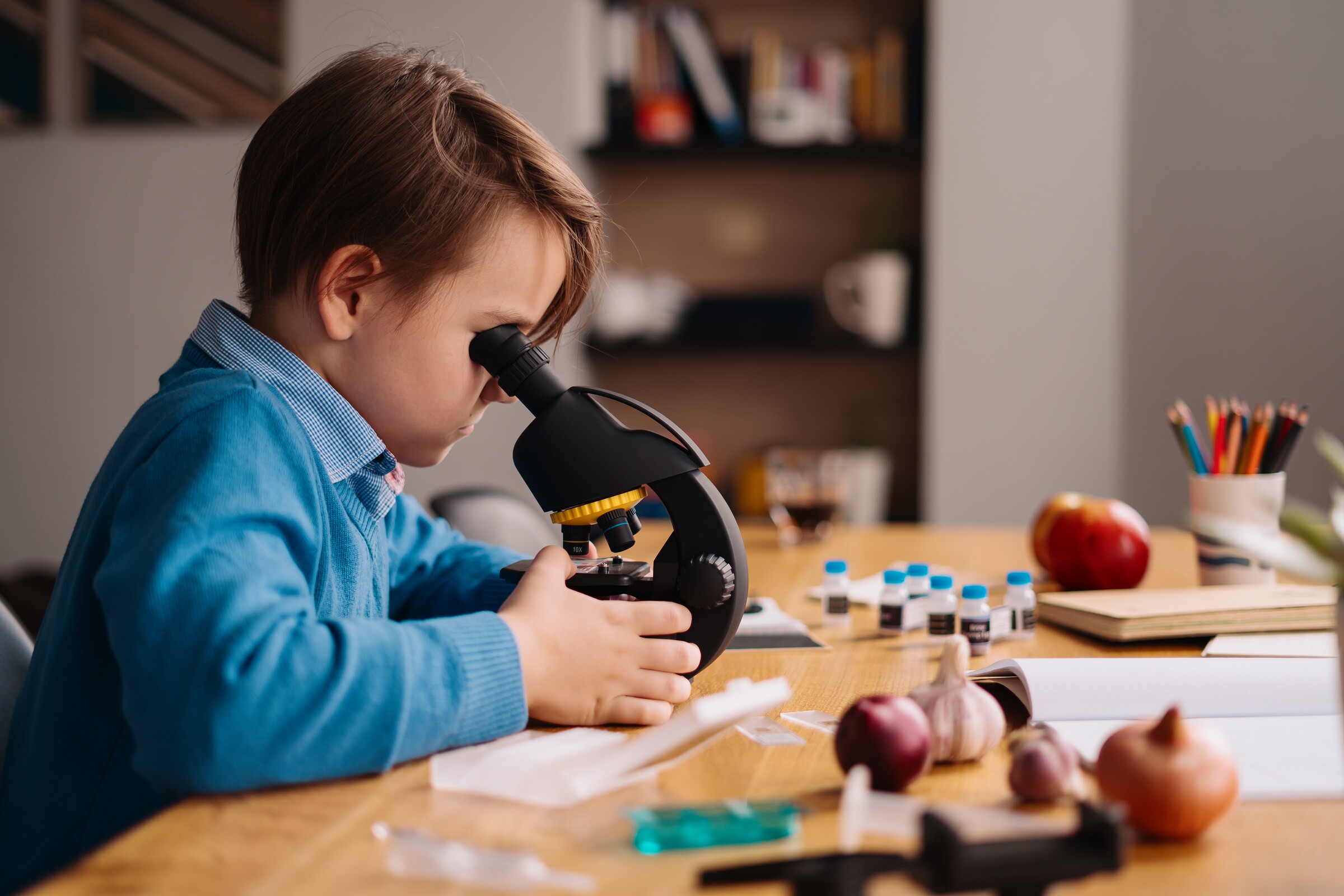 Guimarães garante apoio a alunos da Educação Pré-Escolar e 1.º Ciclo do Ensino Básico para o Ano ...
