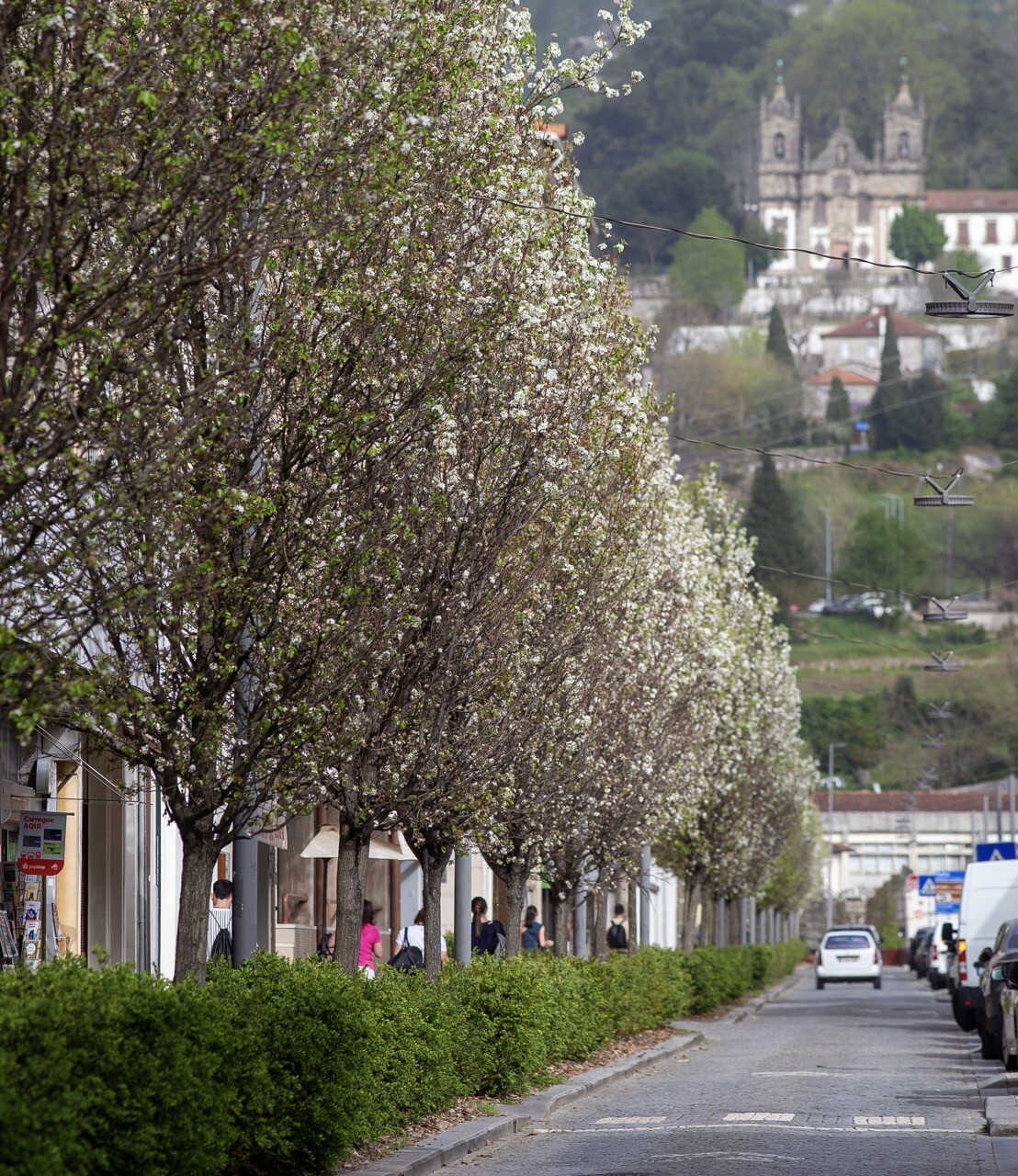 Guimarães integra projeto europeu de transformação sustentável