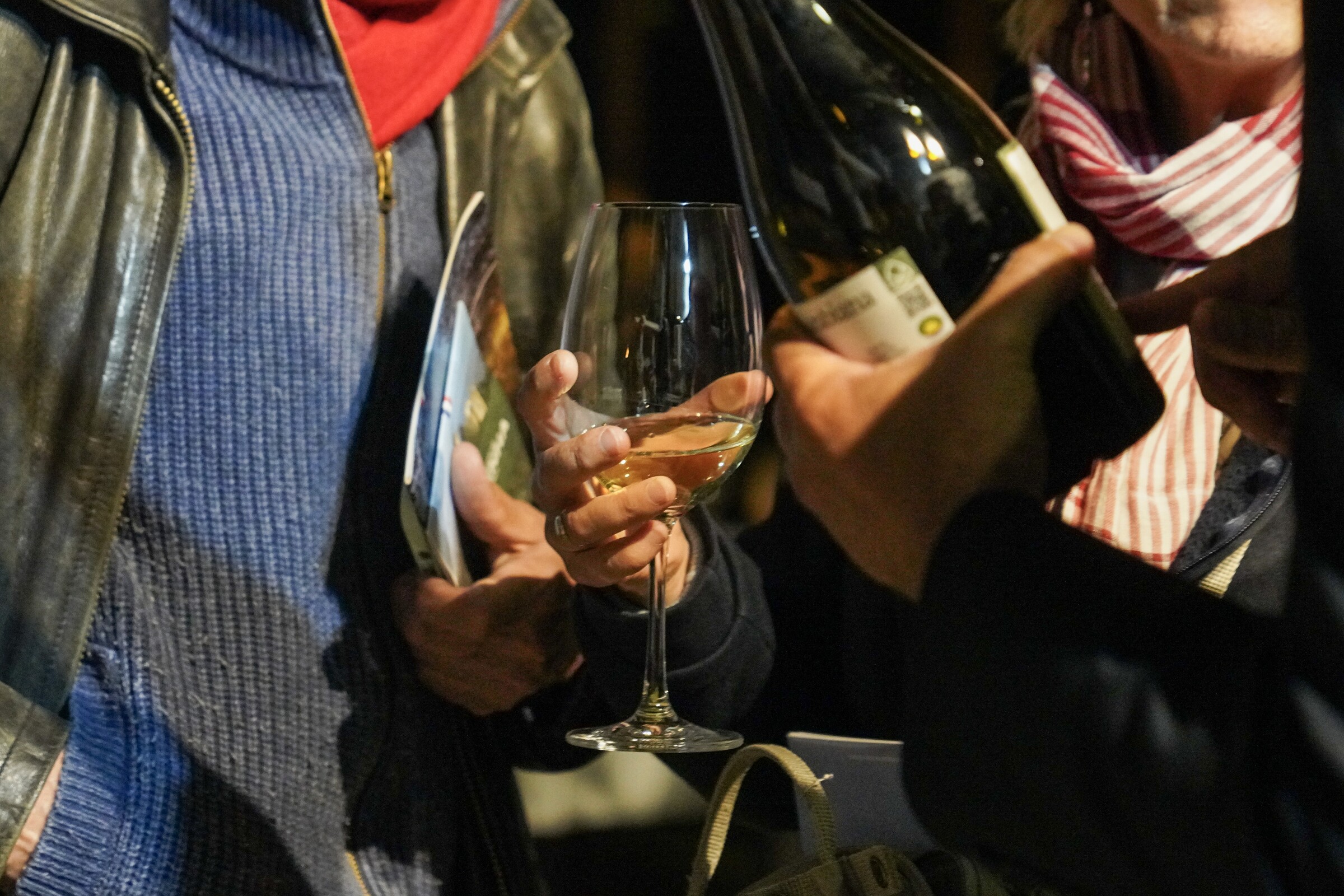 Guimarães leva experiências, inovação, enoturismo e cultura à FITUR 2025 em Madrid