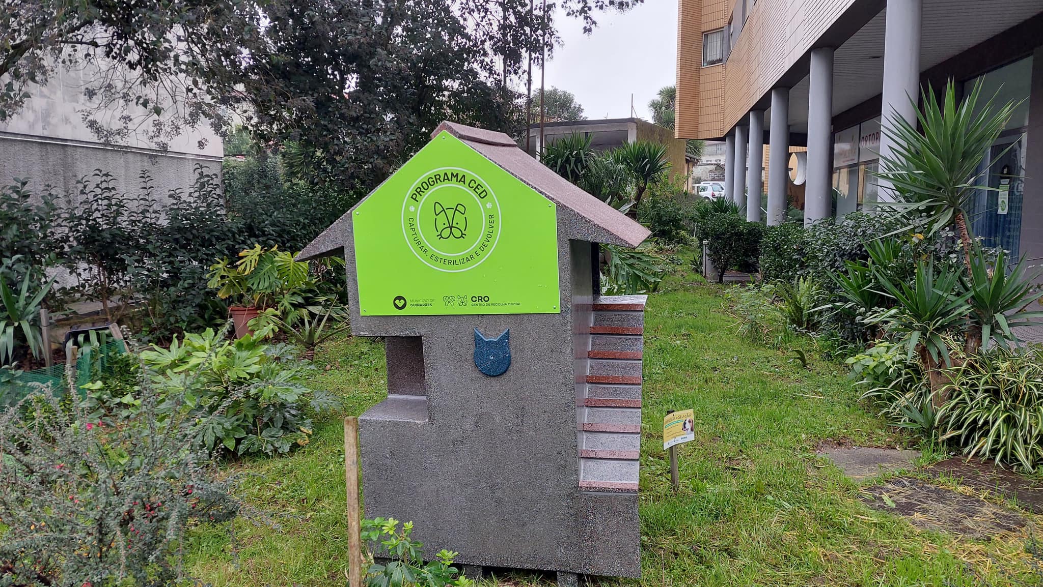 Guimarães coloca 20 abrigos para gatos assilvestrados de rua