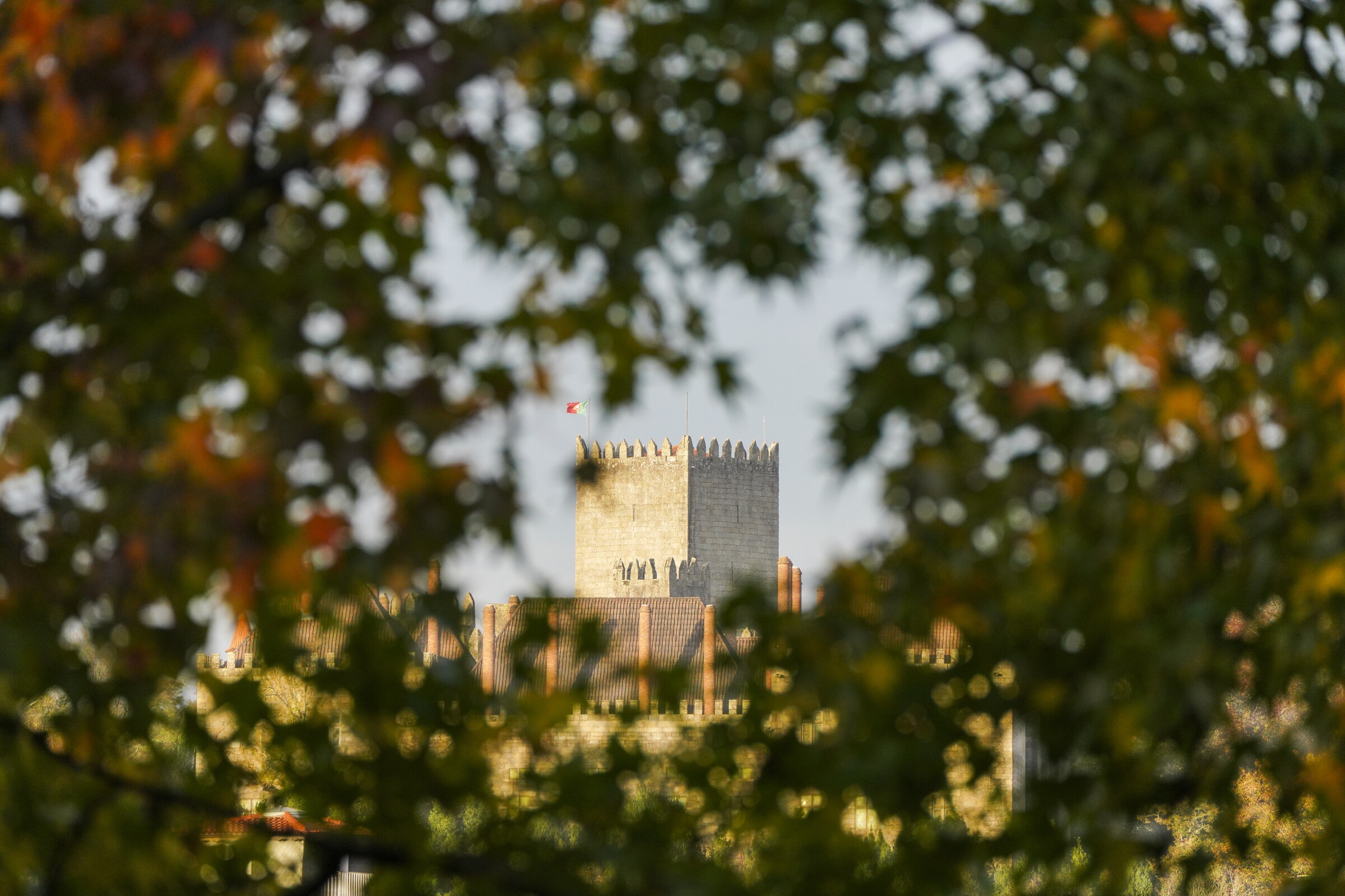 Paço dos Duques e Castelo de Guimarães distinguidos no Prémio Cinco Estrelas Regiões 2025