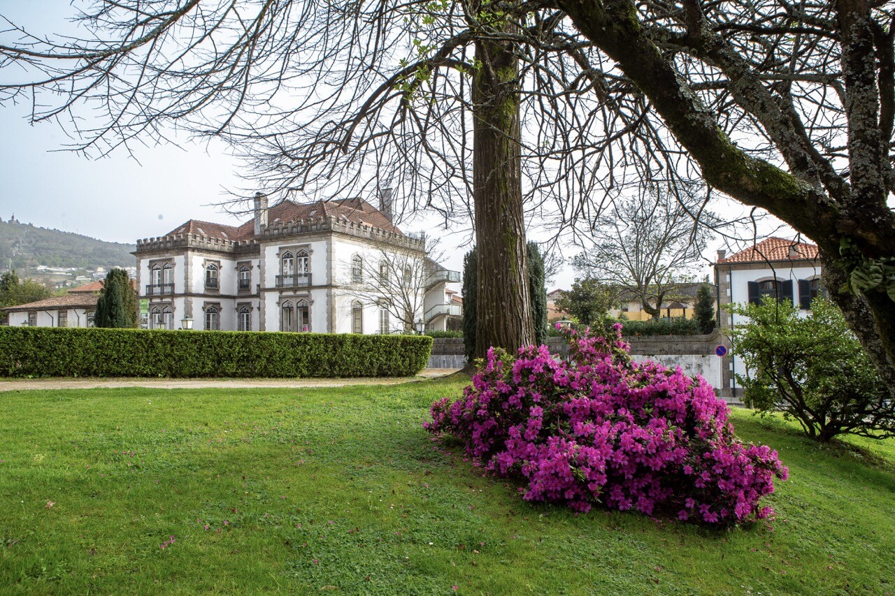 Guimarães lidera desenvolvimento de projetos climáticos na Europa