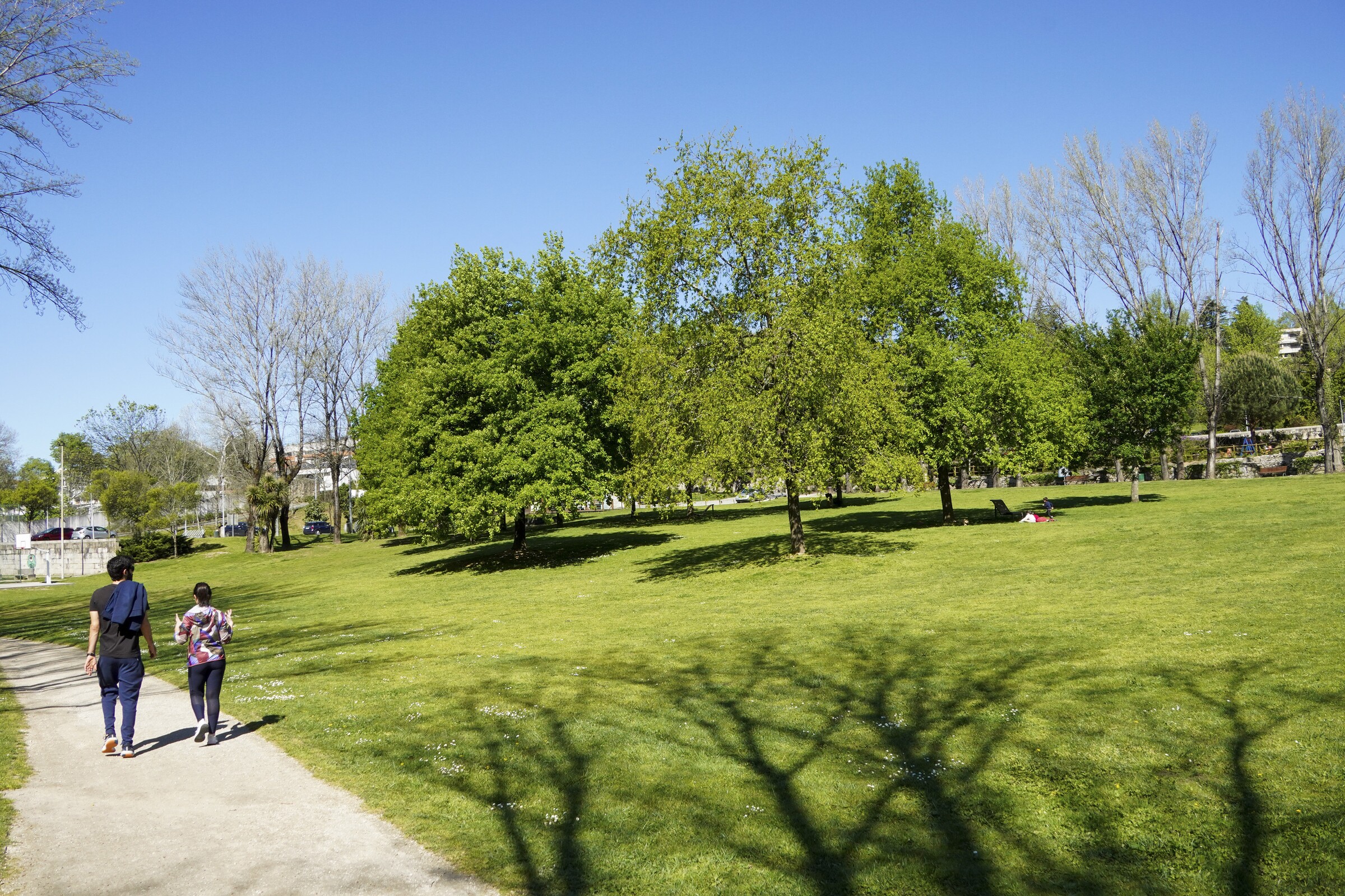 Distinção internacional volta a premiar parques vimaranenses
