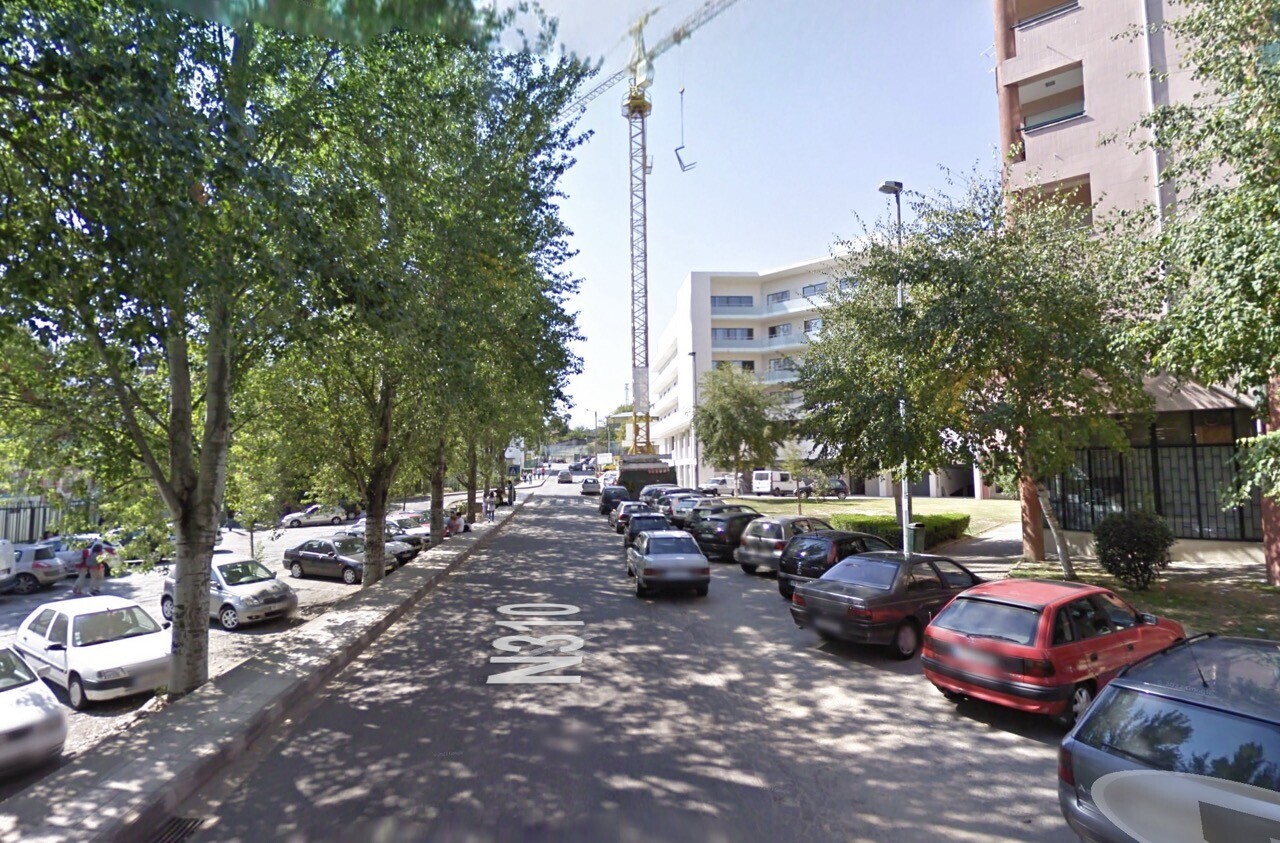 Município de Guimarães procede ao abate de três choupos brancos por razões de segurança