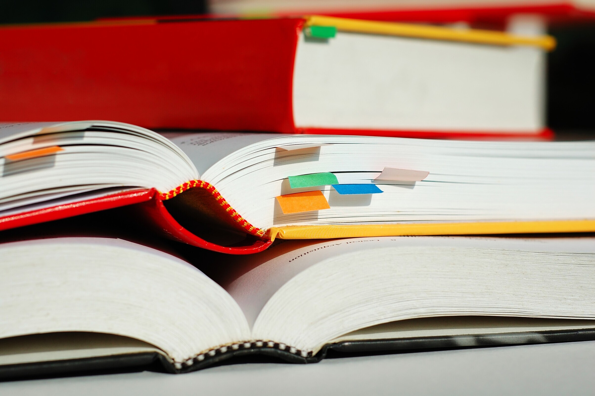 Município de Guimarães abre candidaturas para Bolsas de Estudo a estudantes do ensino superior