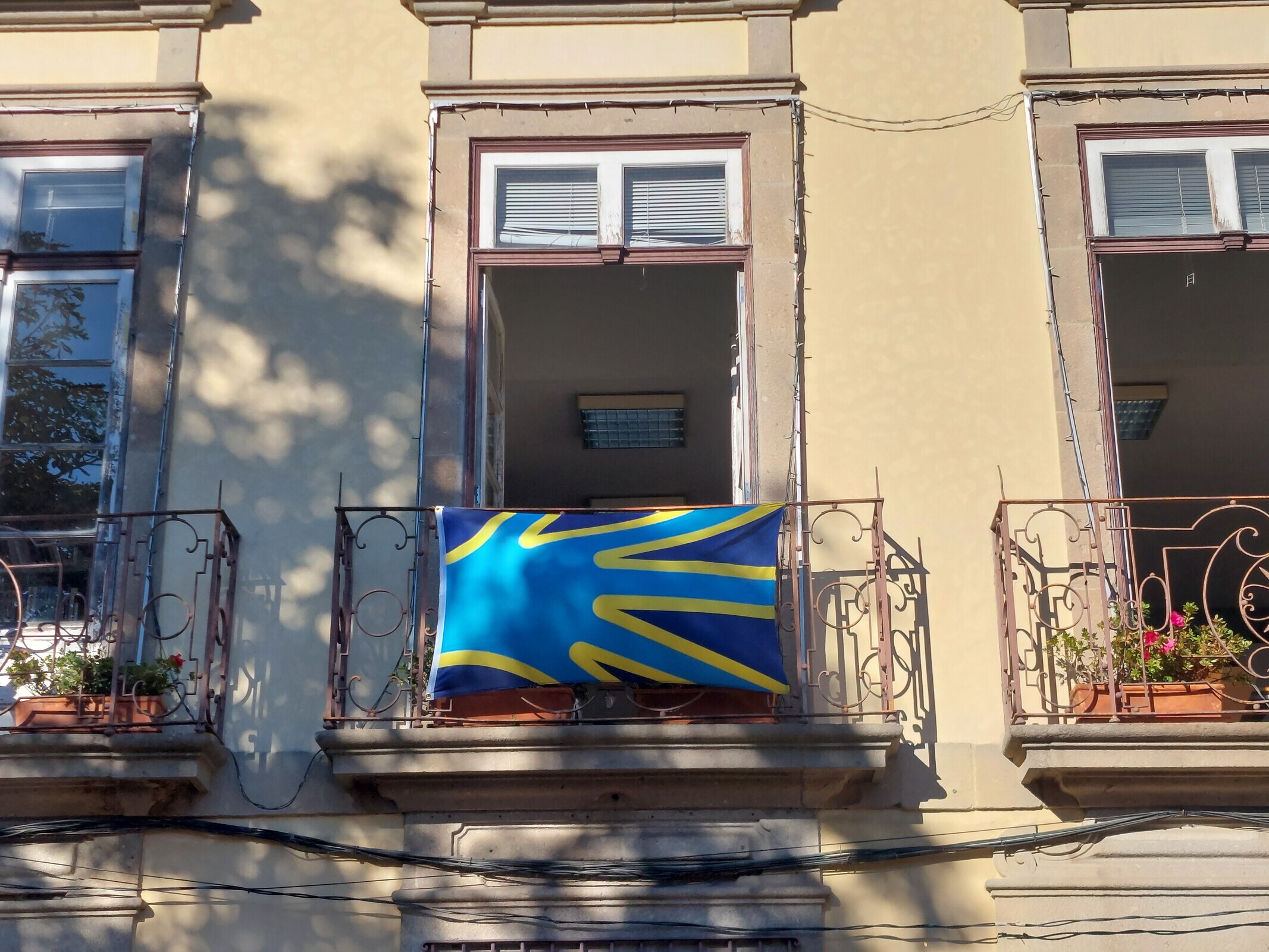 Guimarães assinala “Setembro Azul” com bandeira da Comunidade Surda na Biblioteca Municipal