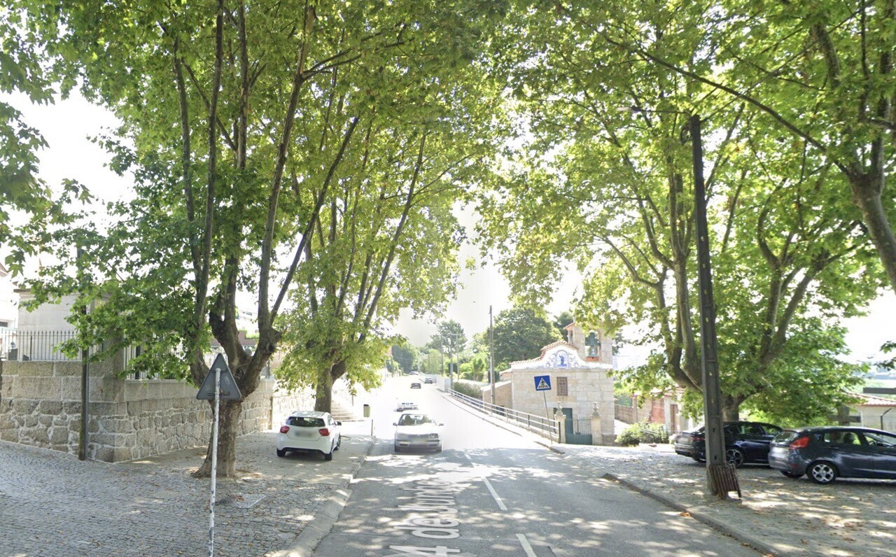  Abate de exemplar de plátano na Rua 24 de Junho, em Azurém