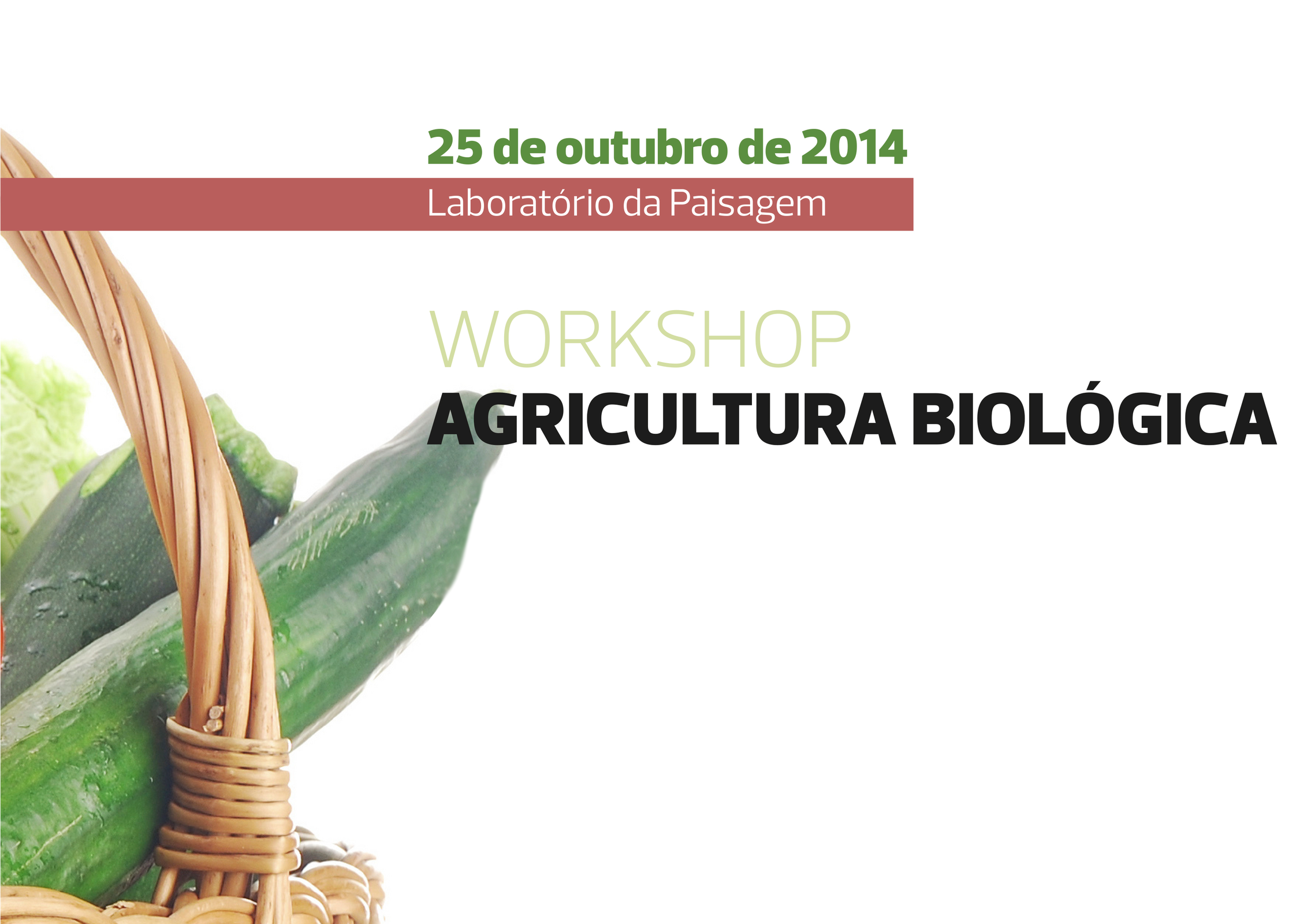 Câmara de Guimarães promove workshop “Agricultura Biológica” no Laboratório da Paisagem