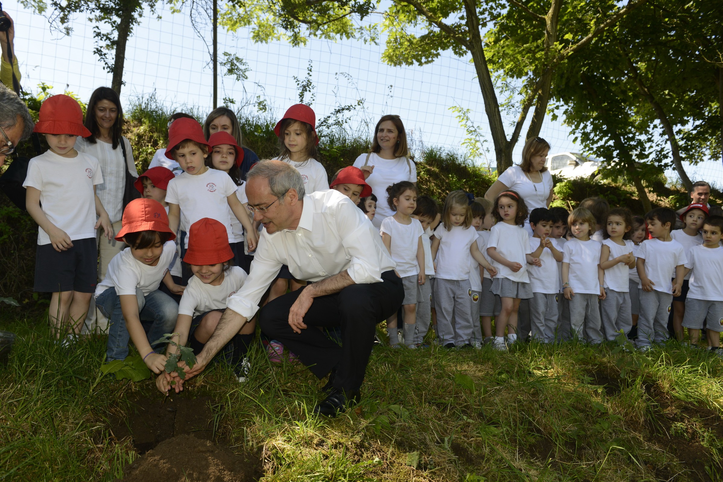 Projeto “Guimarães Mais Floresta” iniciou plantação de 15 mil árvores até março de 2017