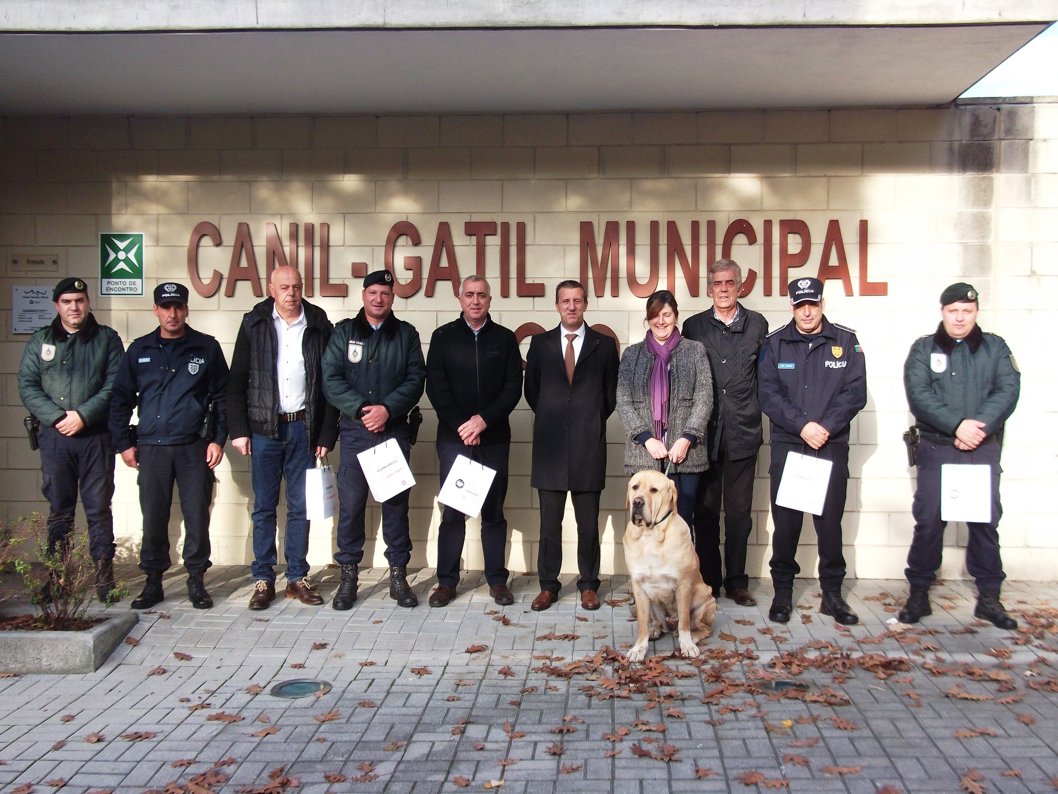 Câmara de Guimarães entrega leitores para identificar animais perdidos ou abandonados