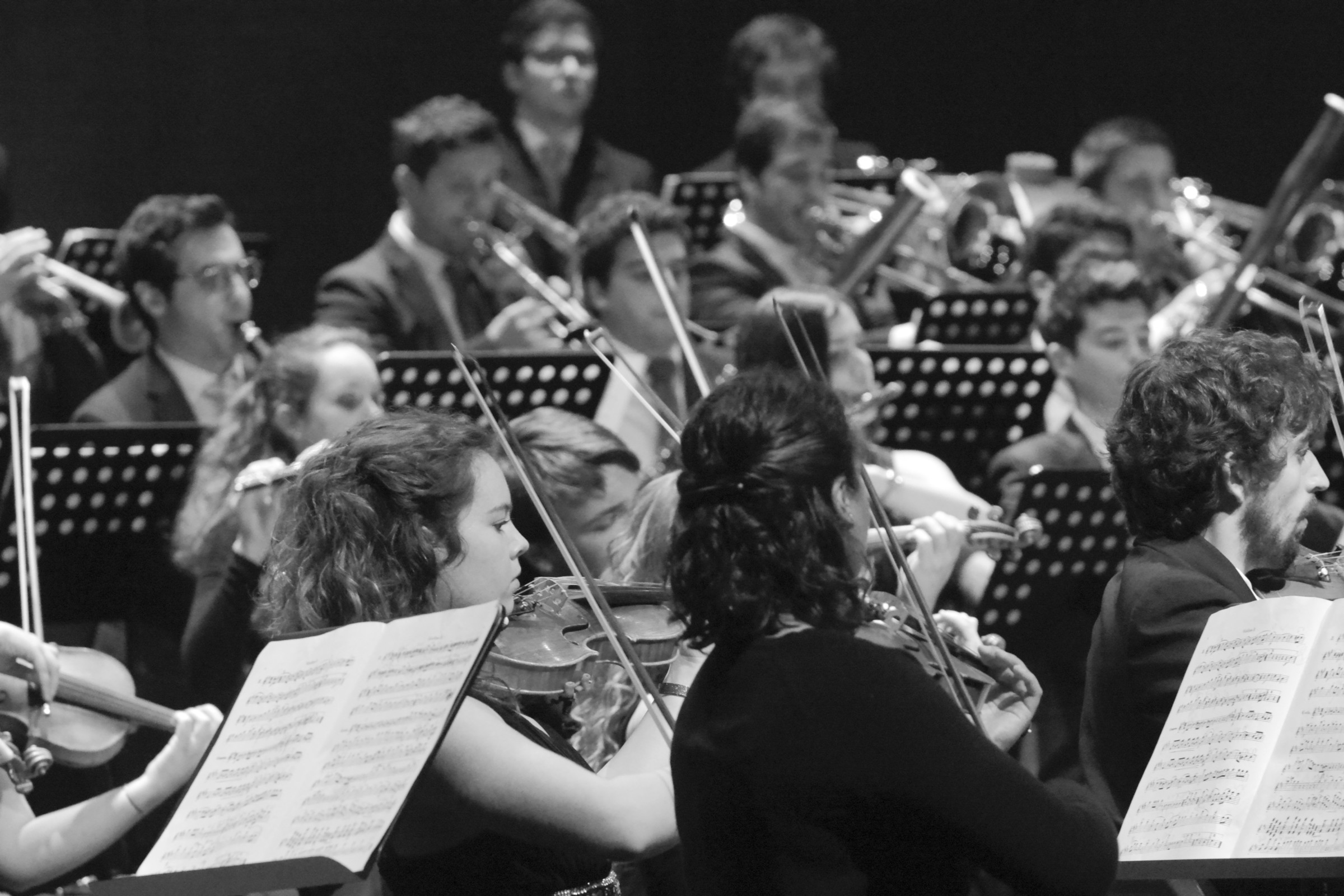 Orquestra de Guimarães atua no CCVF este sábado, dia 21 de outubro