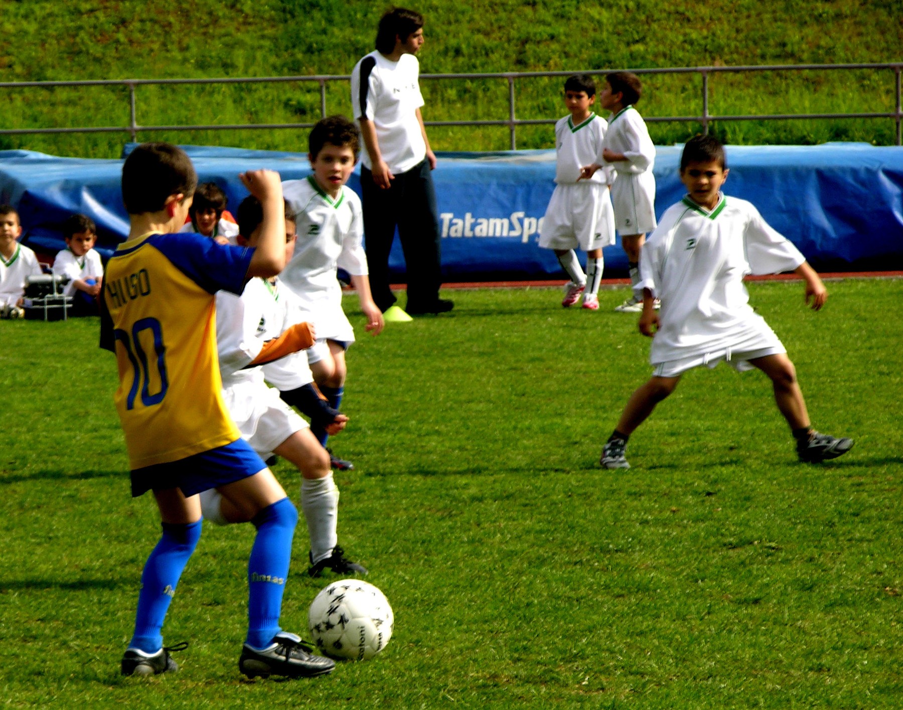 Tempo Livre promove Férias Desportivas de Natal para jovens dos 5 aos 14 anos