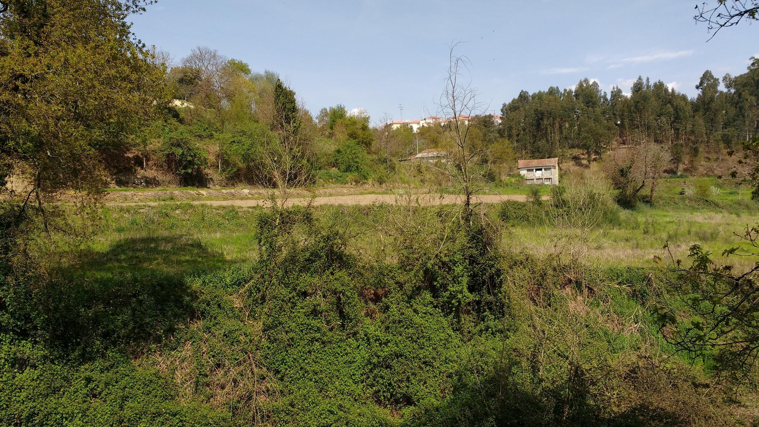 Sete candidaturas aceites para o Banco de Terras de Guimarães