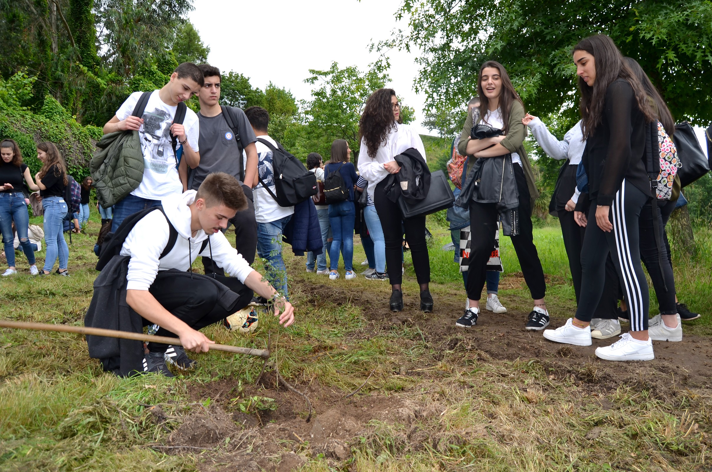 Alunos da Escola Francisco de Holanda plantaram 450 árvores no Parque da Cidade