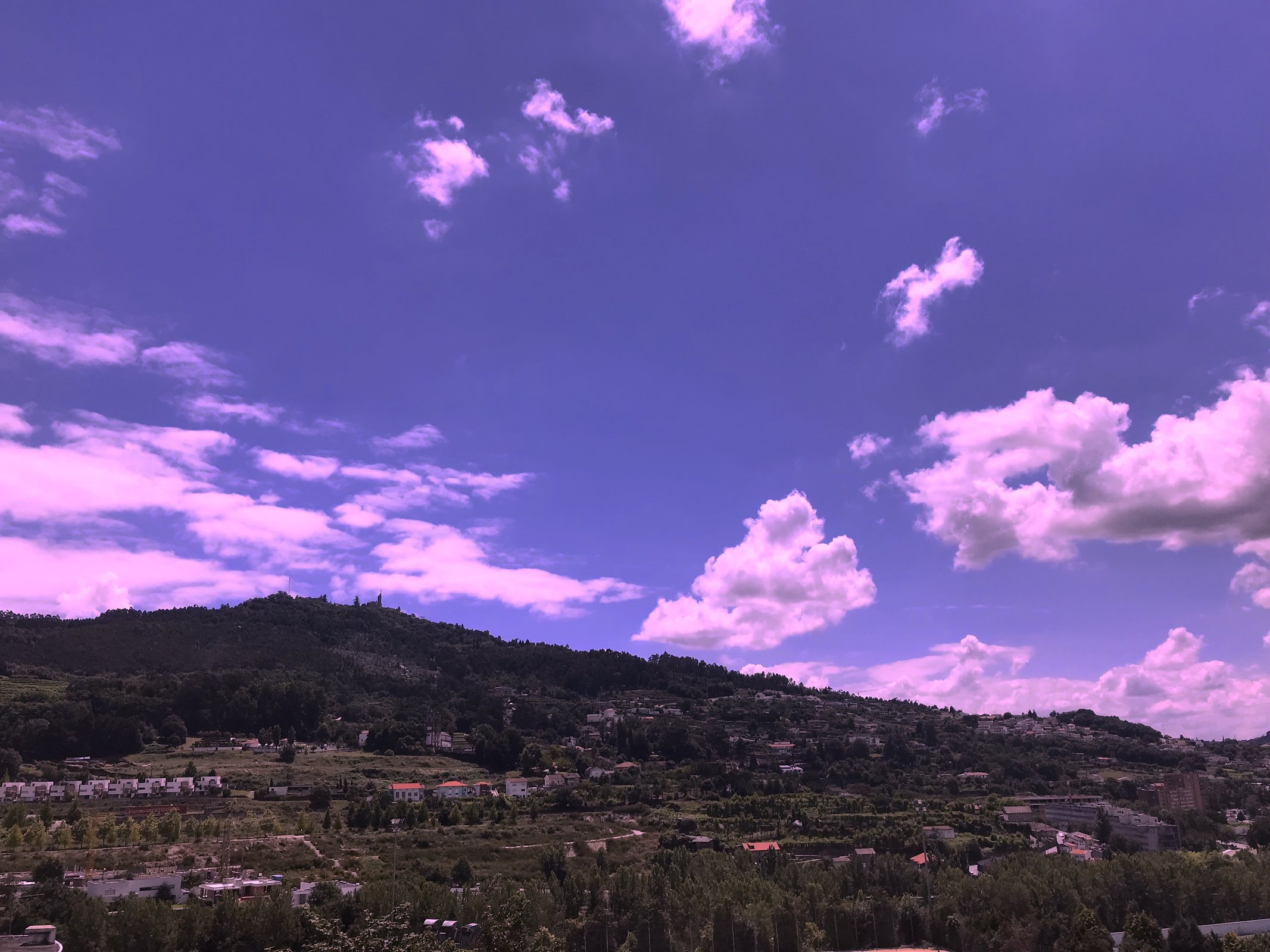 Câmara de Guimarães recomenda prevenção para onda de calor nos próximos dias