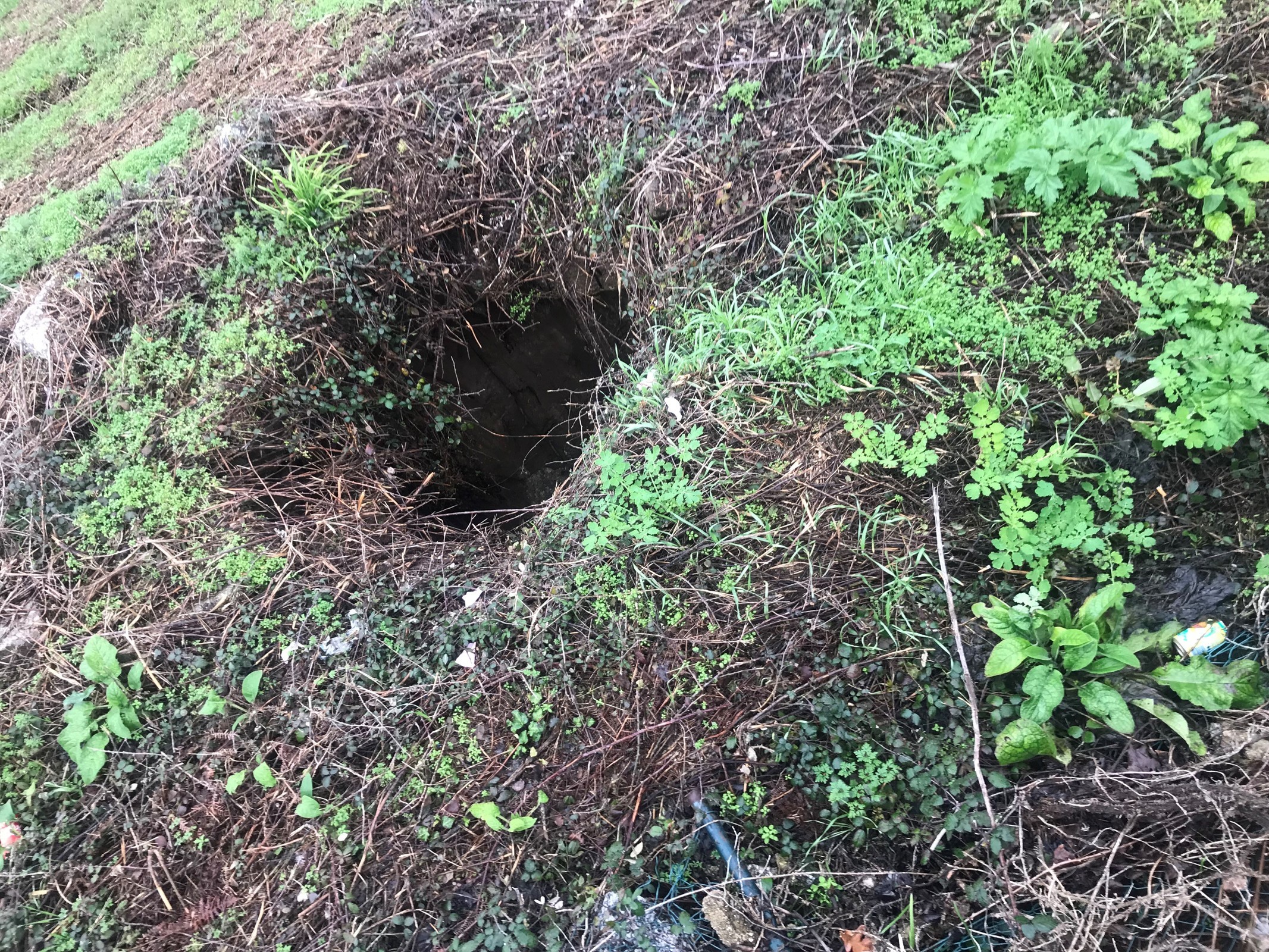 Poços sem cobertura devem ser denunciados à Câmara Municipal de Guimarães